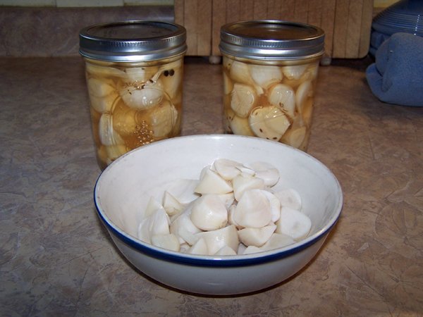 Garlic pickles - finished1 crop July 2018.jpg