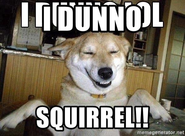 i-dunno-squirrel.jpg