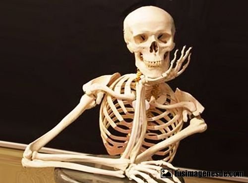 esqueleto-esperando-66.jpg