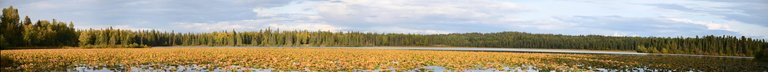 Pond Pano