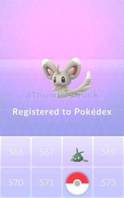 Minccino Pokédex registry.jpg