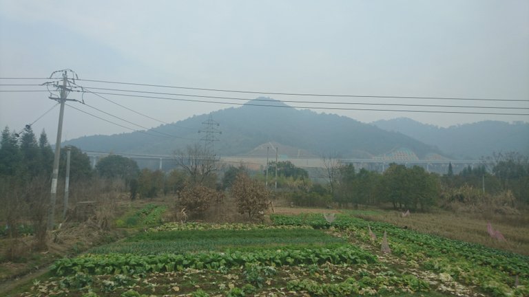 ran gard roadside view.JPG