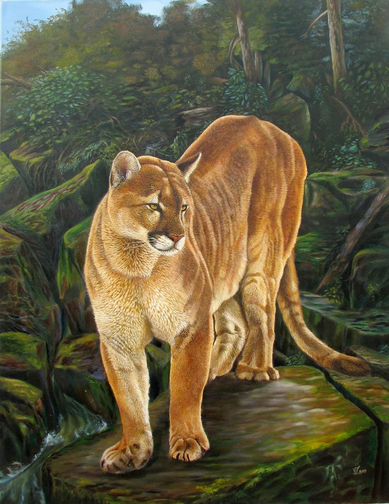 _puma_70x90cm-2.jpg