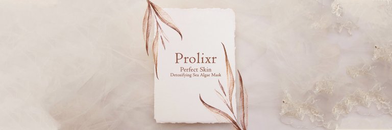 Prolixar Cover.jpg