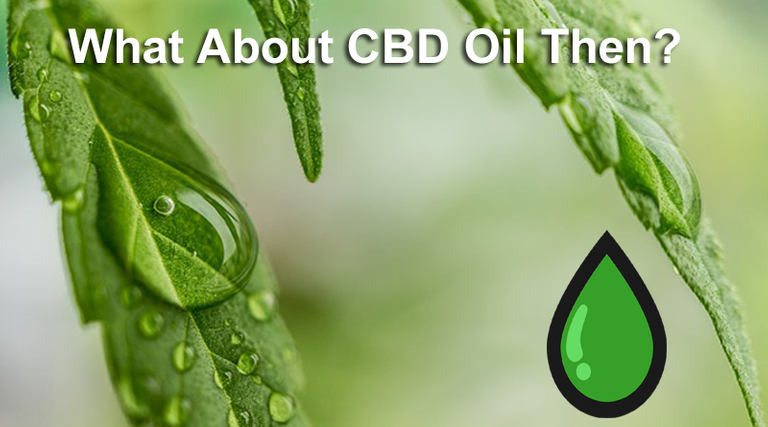 CBD-oil-main.png