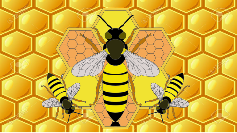 abeja-final.png