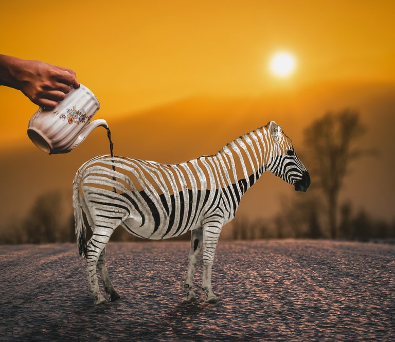 zebra paint.jpg