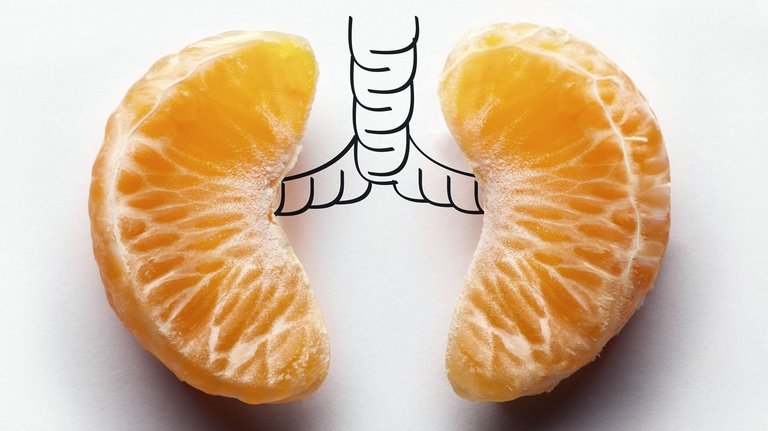 Lungs Oranges.jpeg