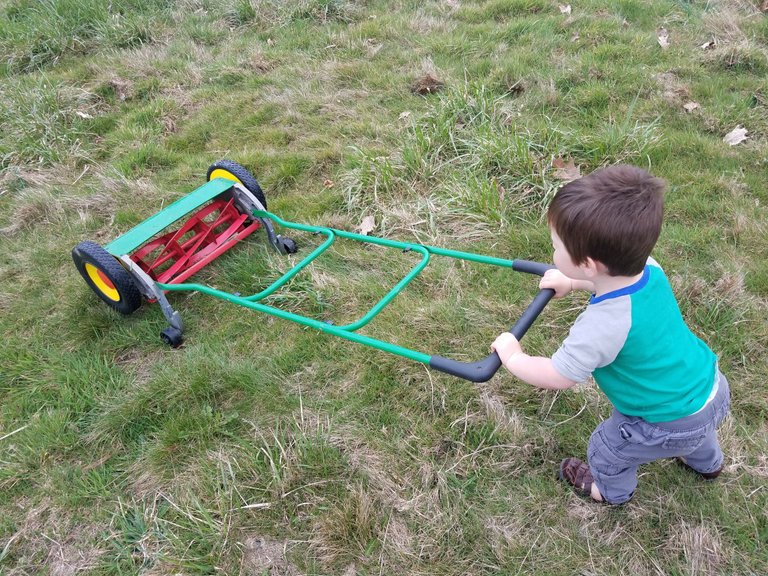 pushing-the-mower.jpg