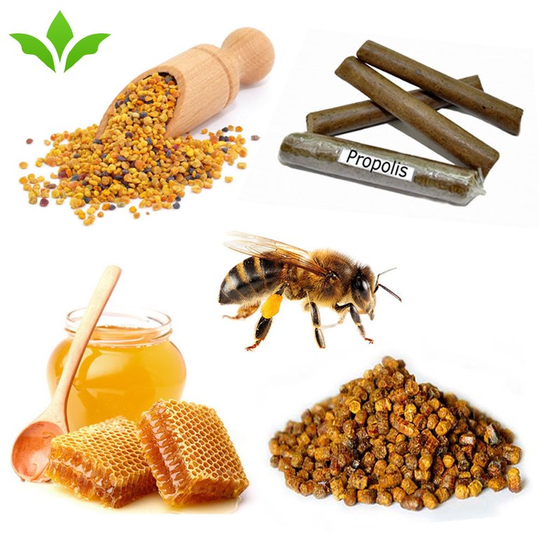 honey_products_1000.jpg