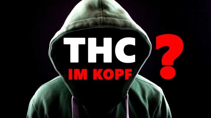 THC_IM_KOPF-678x381.jpg