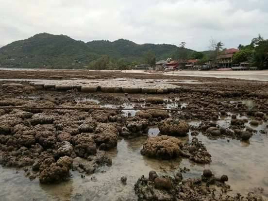 thailand3.jpg