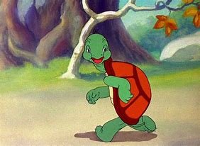 Turtle Still Running .jpg