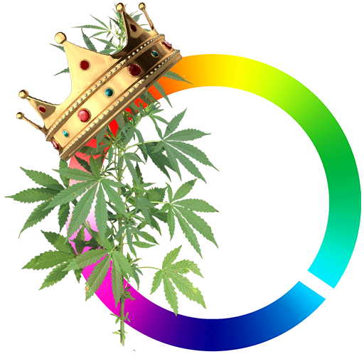 hashkings_logo.png