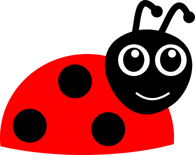 ladybug-152281_640.png