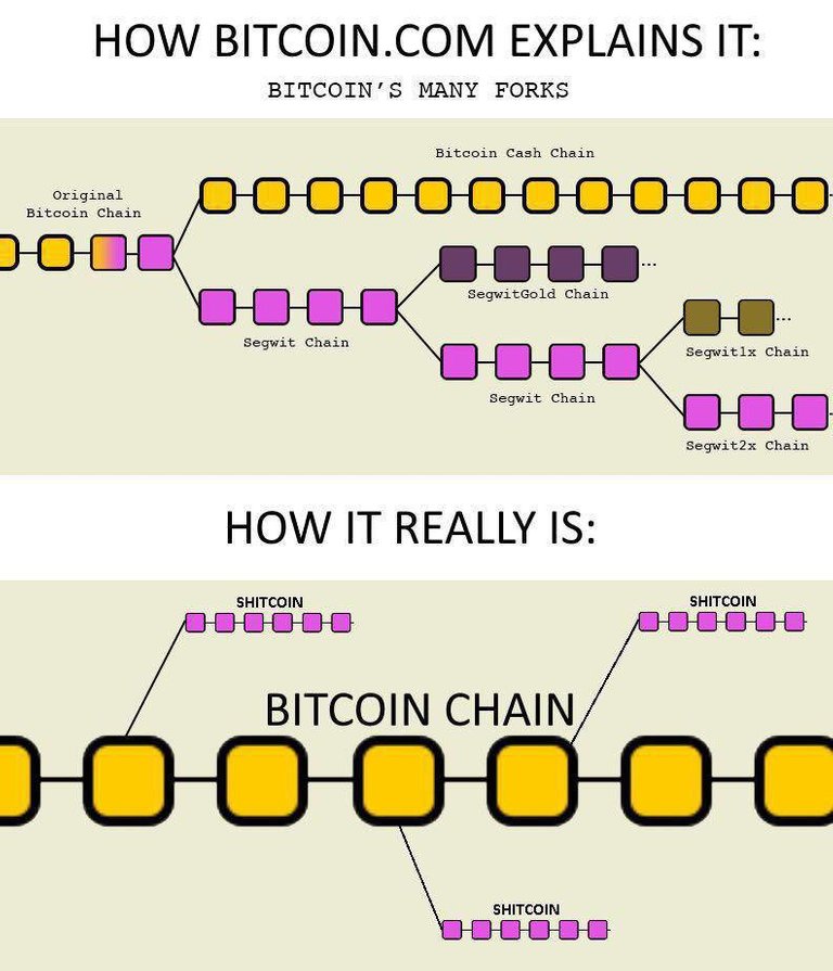 Bitcoin-forks.jpg