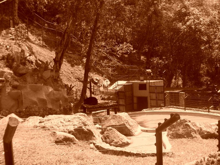 100_0291 sepia.jpg