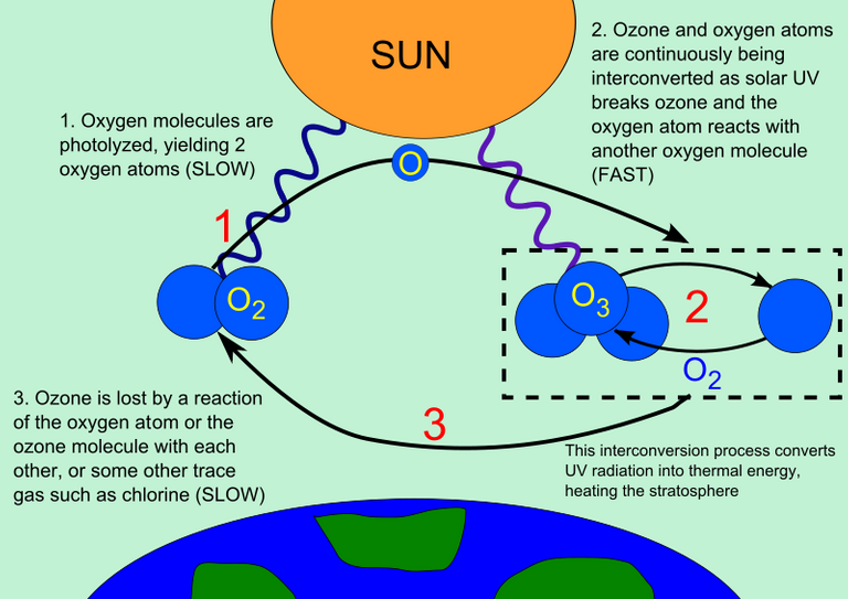 800px-Ozone_cycle.svg.png