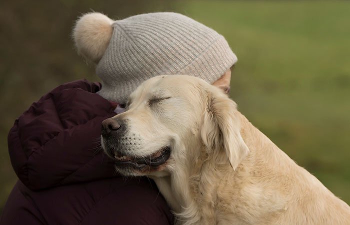 dog-photographer-of-the-year-2018-winners-the-kennel-club-18-5b51979968c48__700.jpg