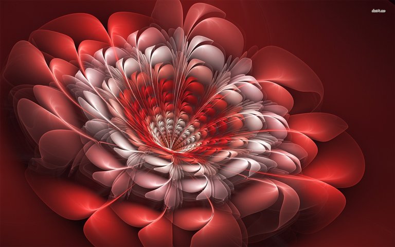 animated-flower-images-and-wallpapers-2.jpg