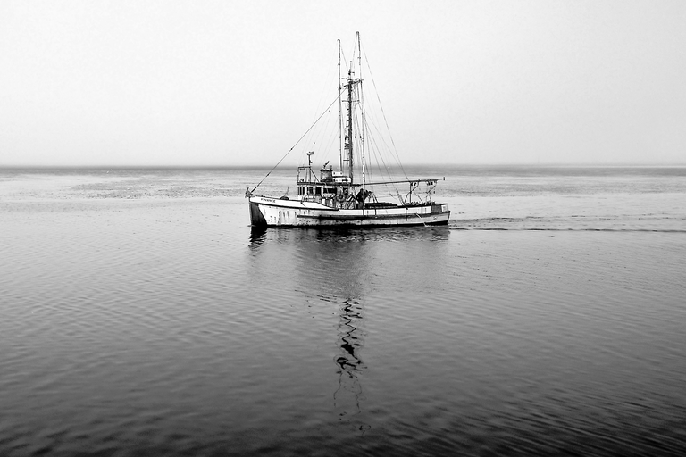 IMG_20190901_091506- BW Found Inspirations - Ship To Ends Fog #392.png