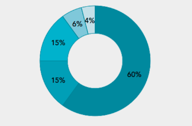 NAV TOKEN USE OF FUNDS.png