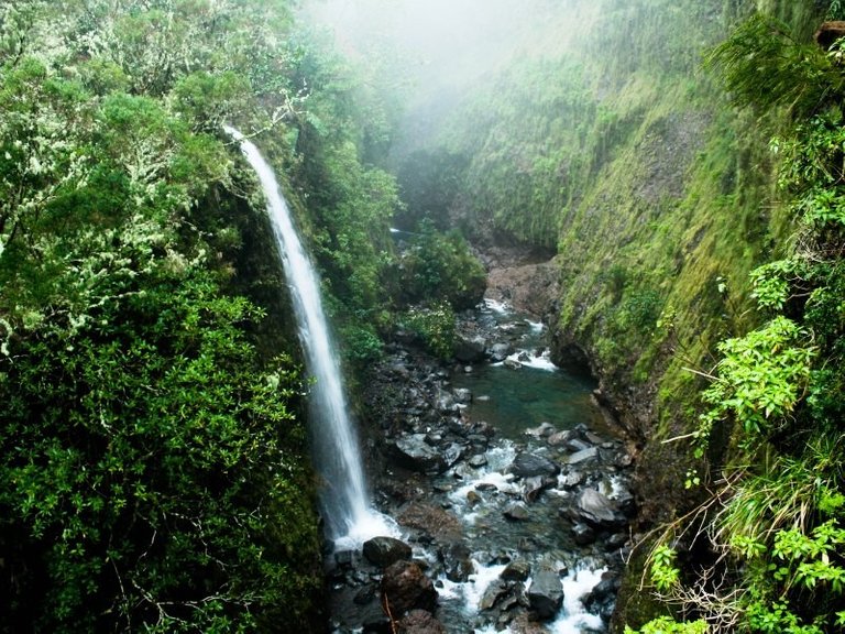 madeira-levada-walk-rabacal-25fontes-water5be98fde928f2.jpg