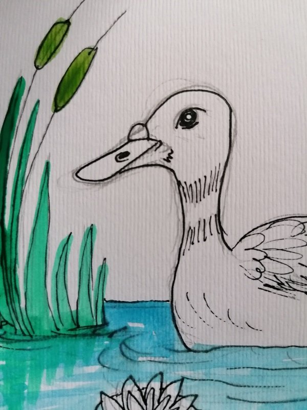 PAINTINGDUCK(5).jpg