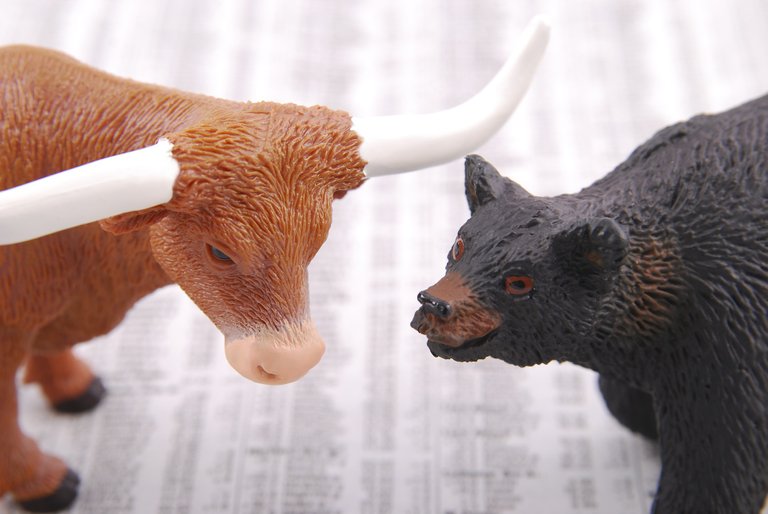 bull vs bear.jpg