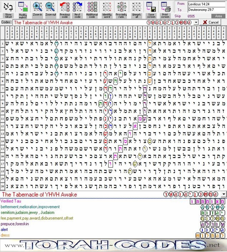 The Tabernacle of YHVH Awake.jpg