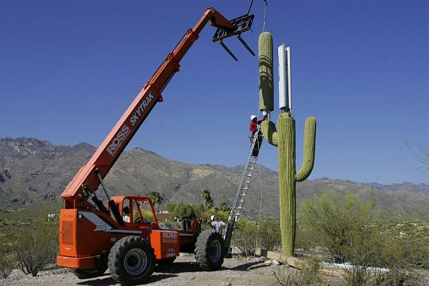 cactus-cell-phone-tow2.jpg