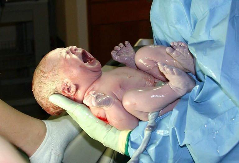 1024px-HumanNewborn.JPG