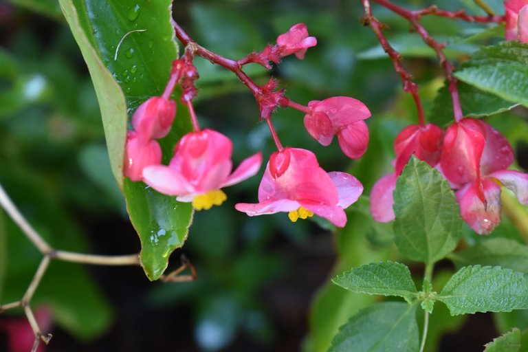 DSC_0001.JPG