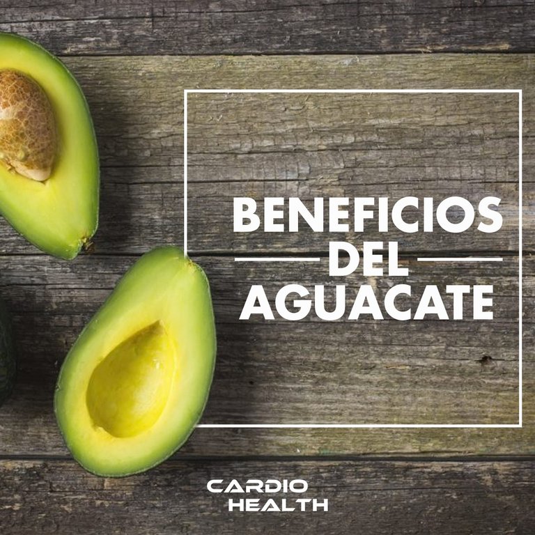 Aguacate.jpg