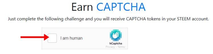 Captcha Token4.jpg