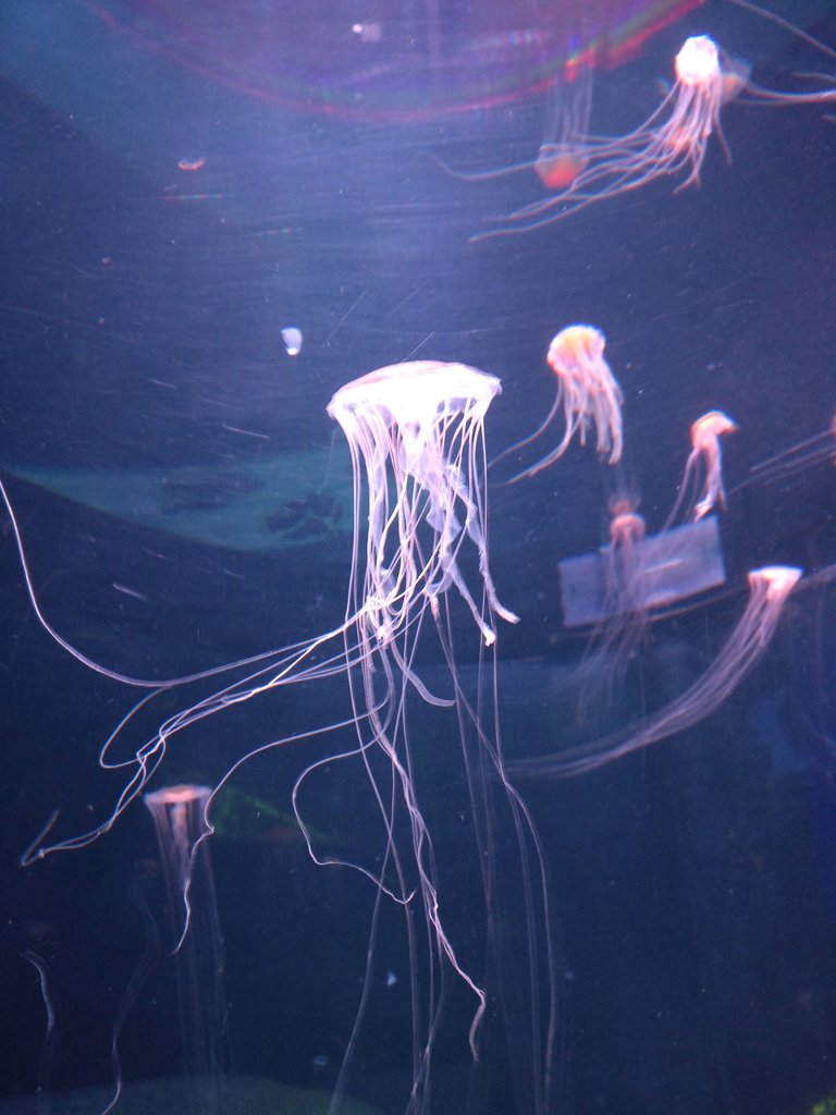 IMG_20180722_114433.jpg