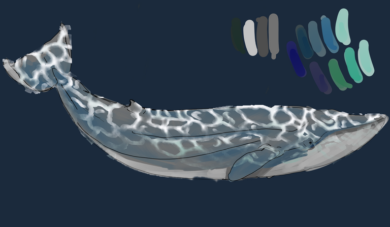 whale.png