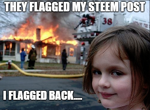 STEEM.PNG