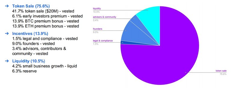 Token Allocation (300M token) .jpg