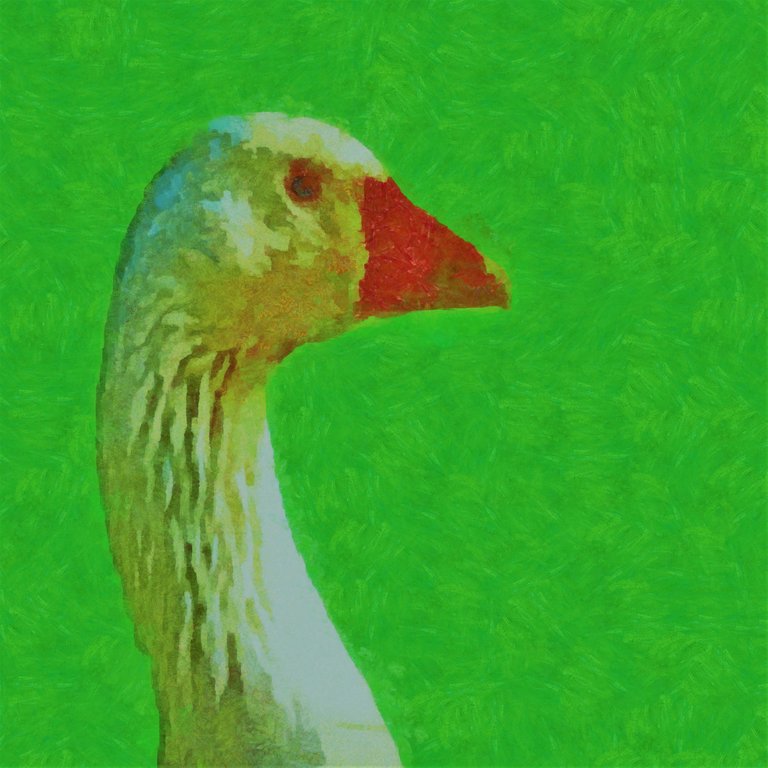 goose.jpeg