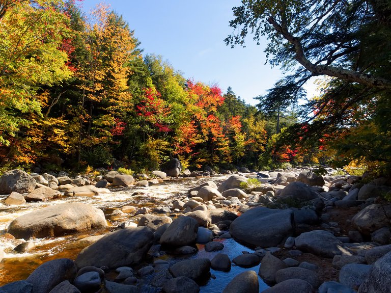 jessicaoutside.com-PA101306-autumn-fall-river-white-mountain-national-forest-1200-85.jpg