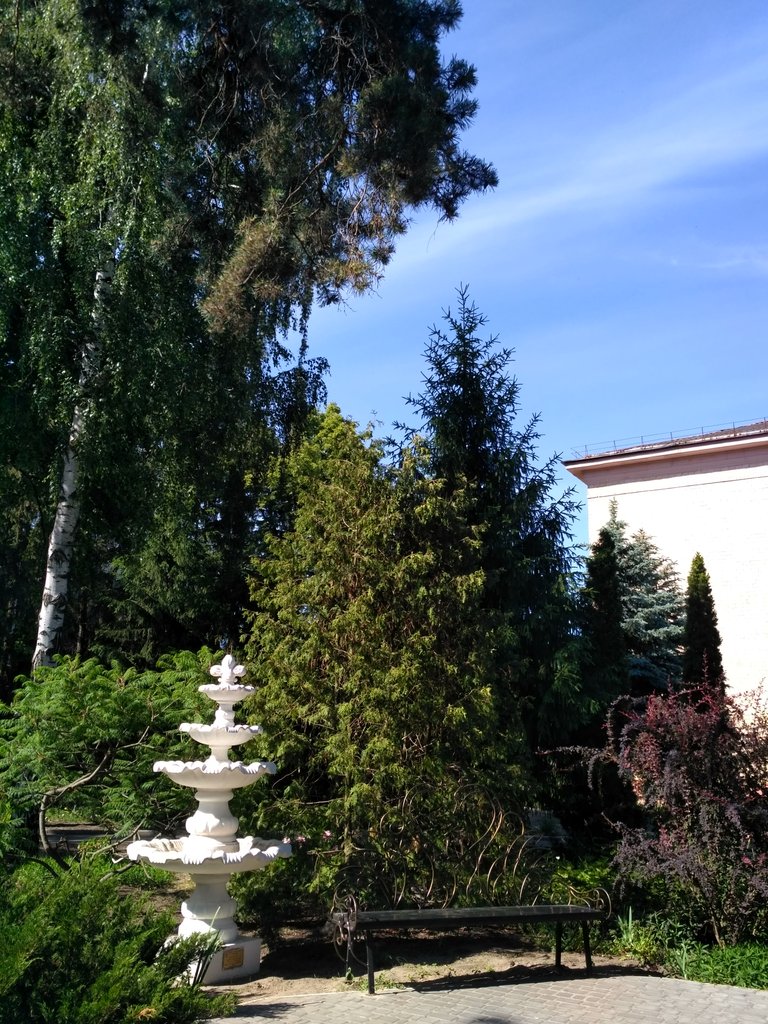 IMG_20180602_161252_HDR.jpg