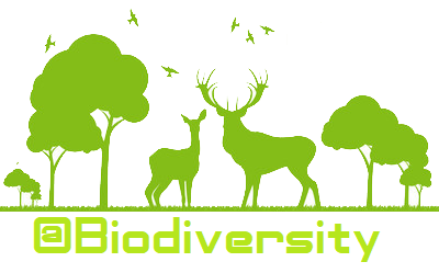 biodiversity.png