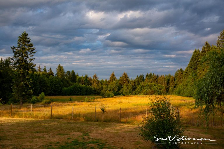 Farmers Field-2.jpg