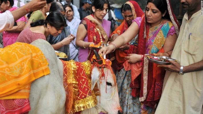 120419014951-hindu-sacred-cow-horizontal-large-gallery.jpg.cf.jpg