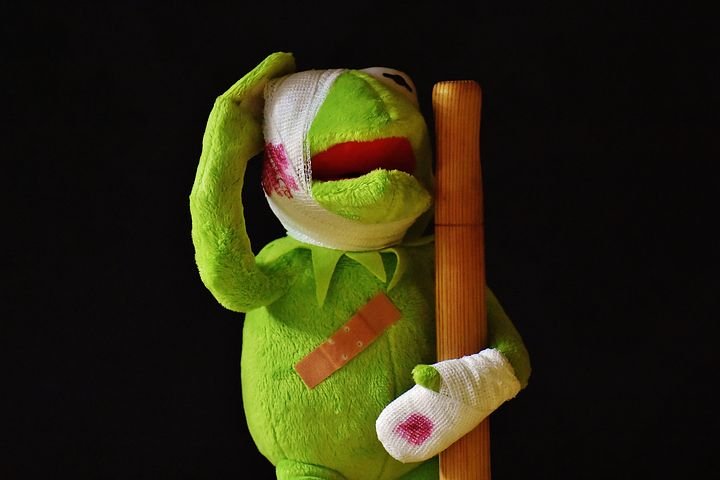 kermit-2001219__480.jpg