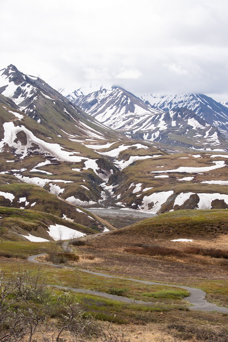 10JUN18-Denali-18.jpg