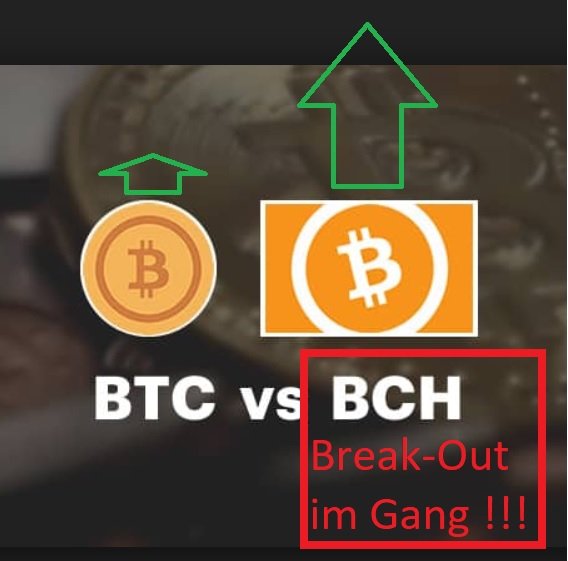 251 BCH.jpg