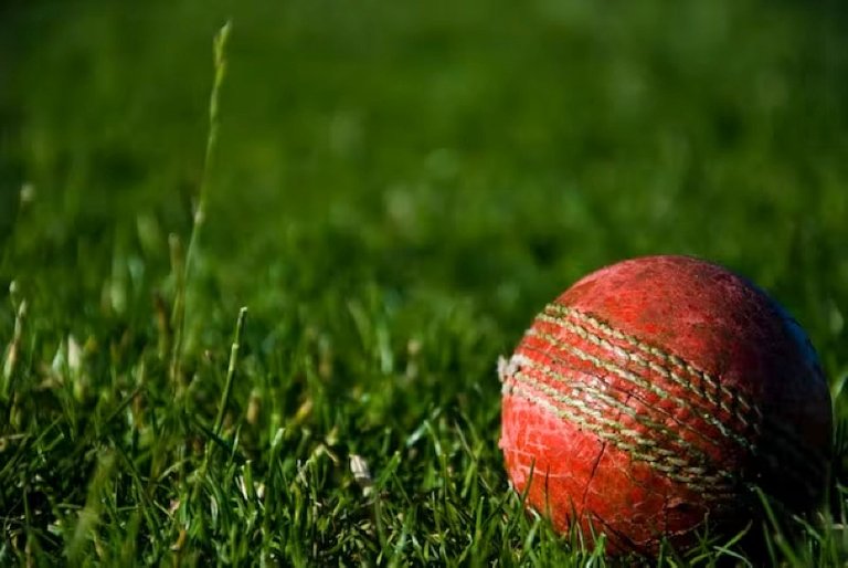 cricket1.jpg