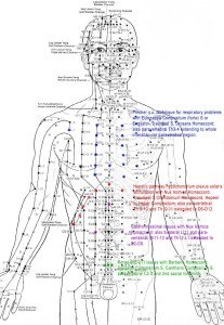 acupuncture-chart.jpg